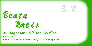 beata matis business card